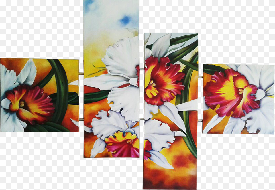 African Daisy, Art, Canvas, Modern Art, Flower Png
