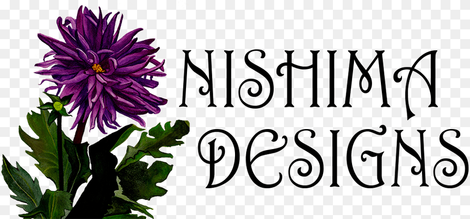 African Daisy, Dahlia, Flower, Plant, Purple Free Transparent Png