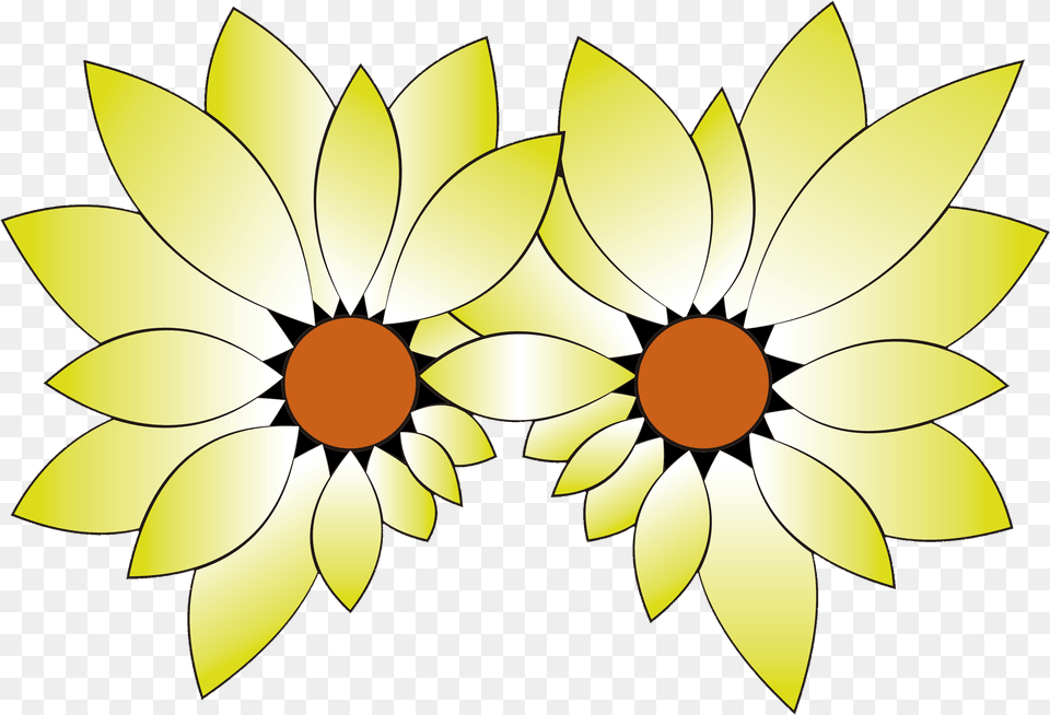 African Daisy, Plant, Flower, Sunflower, Pattern Png