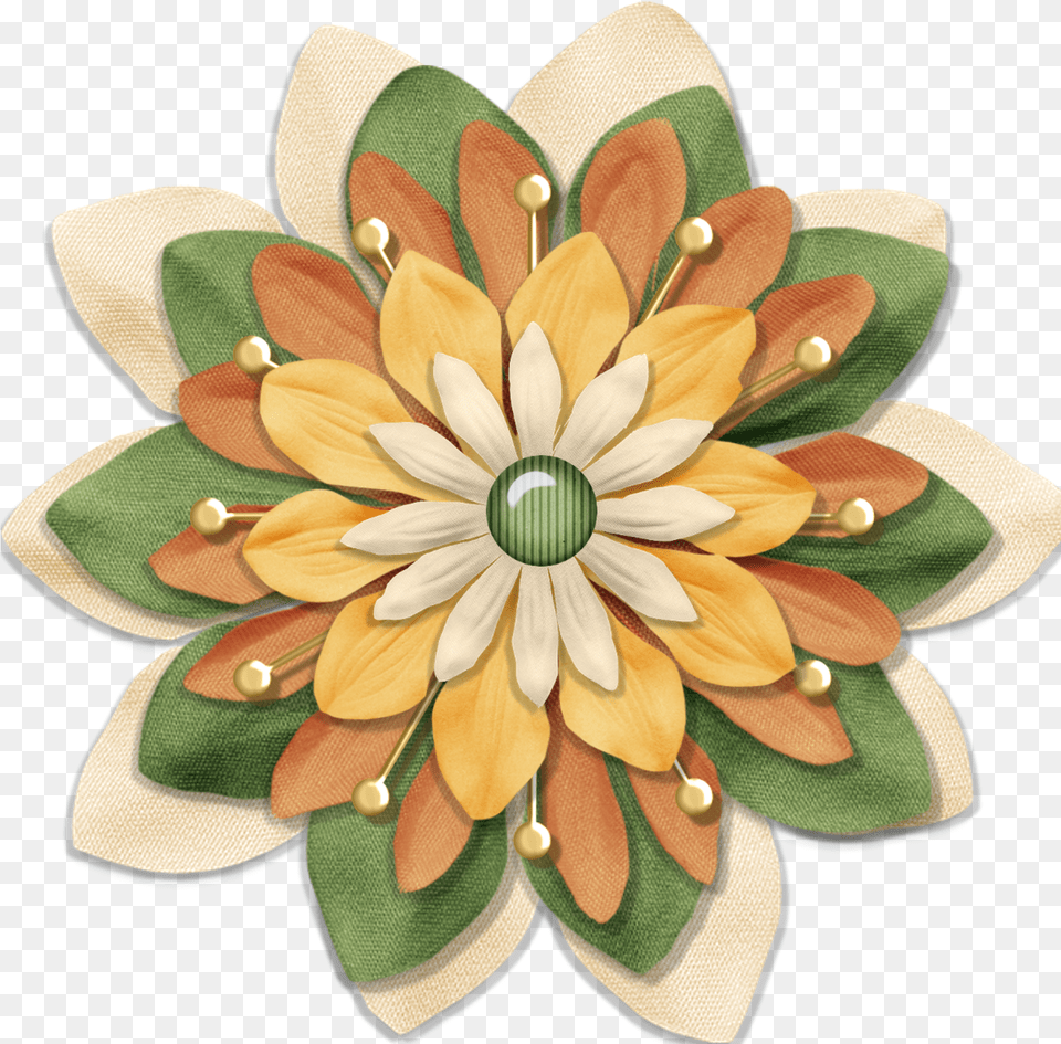 African Daisy, Accessories, Pattern, Graphics, Plant Free Png