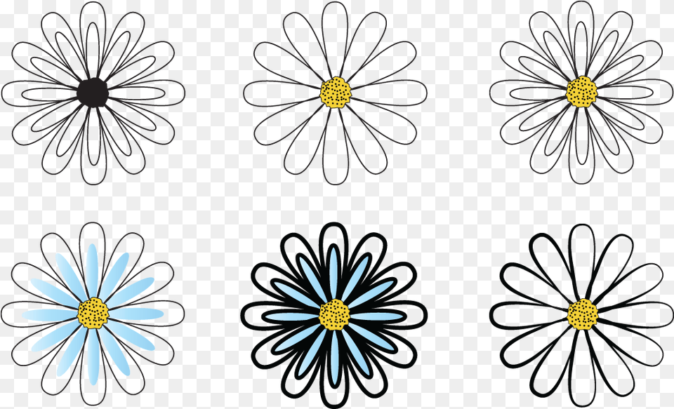 African Daisy, Flower, Pattern, Plant, Blackboard Png