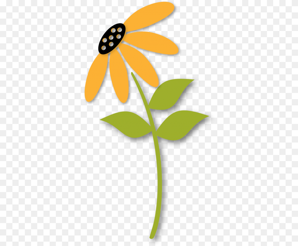 African Daisy, Flower, Petal, Plant, Anther Free Png Download