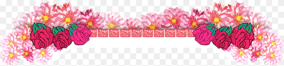 African Daisy, Accessories, Flower, Flower Arrangement, Ornament Free Transparent Png