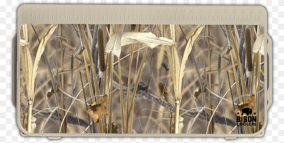 African Elephant, Plant, Reed, Grass, Art Free Transparent Png