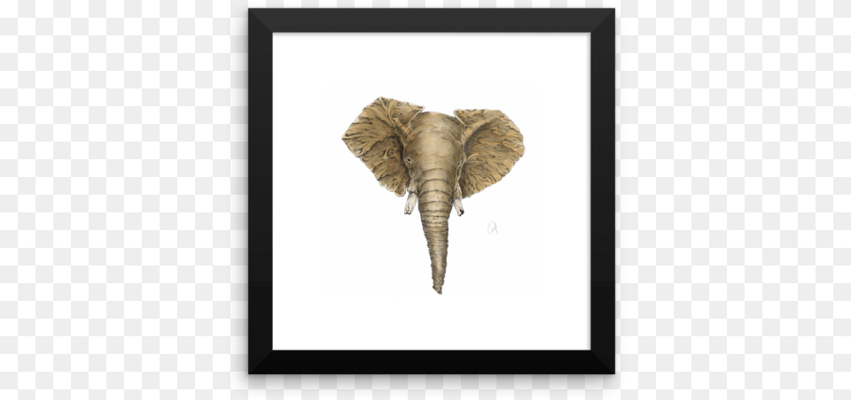 African Elephant, Animal, Mammal, Wildlife Png Image