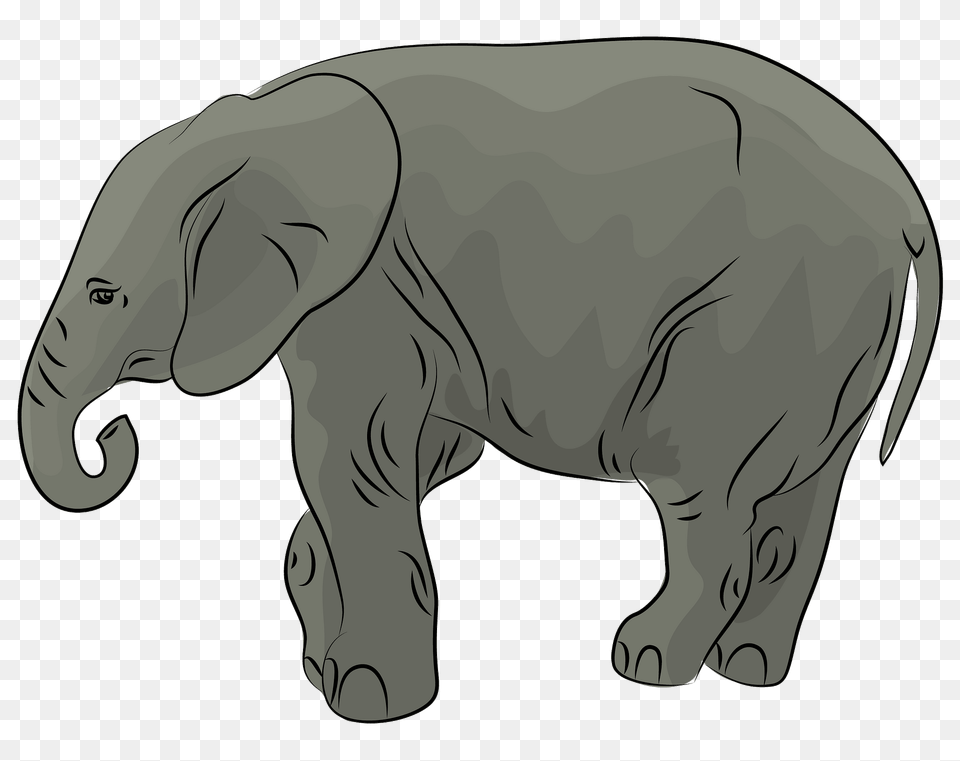 African Elephant Cub Clipart, Animal, Wildlife, Mammal Free Transparent Png