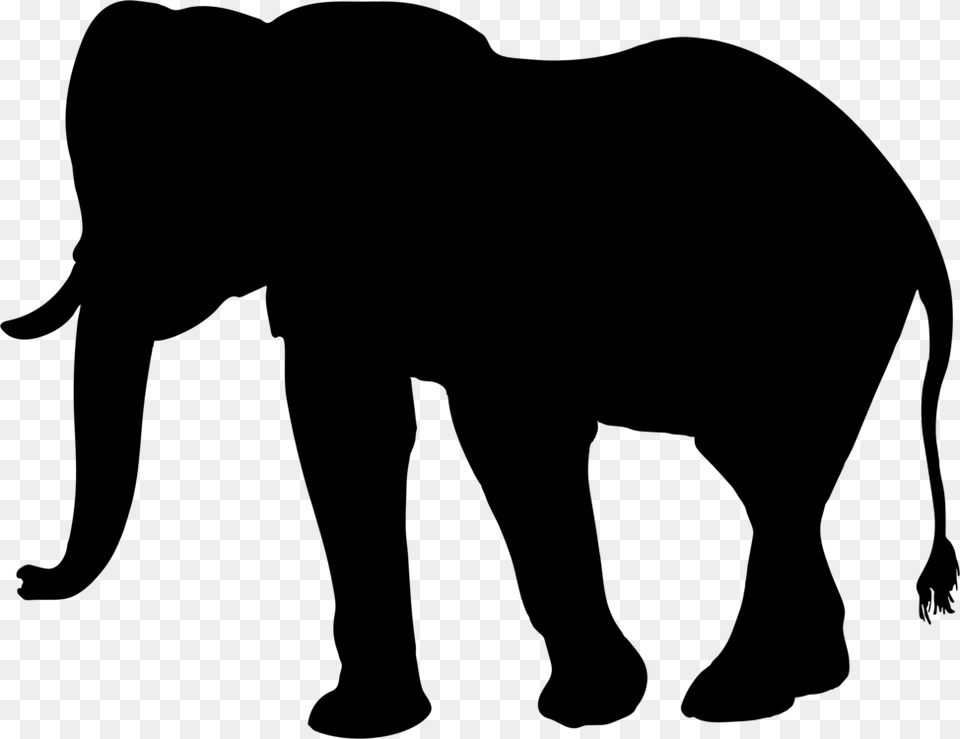 African Elephant Elephantidae Animal Silhouettes Drawing, Gray Png
