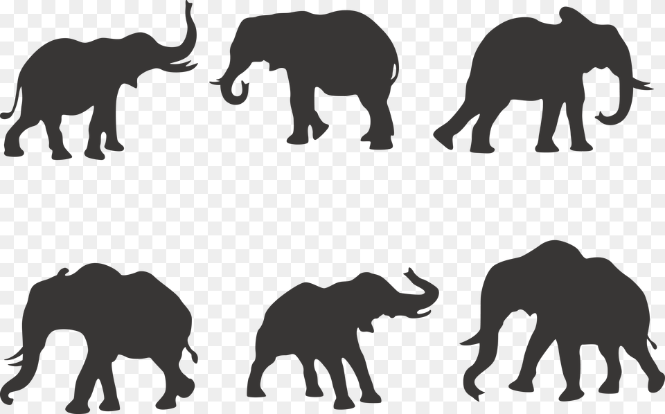 African Elephant Silhouette Indian Elephant 6 Elephant, Animal, Mammal, Wildlife, Bear Png