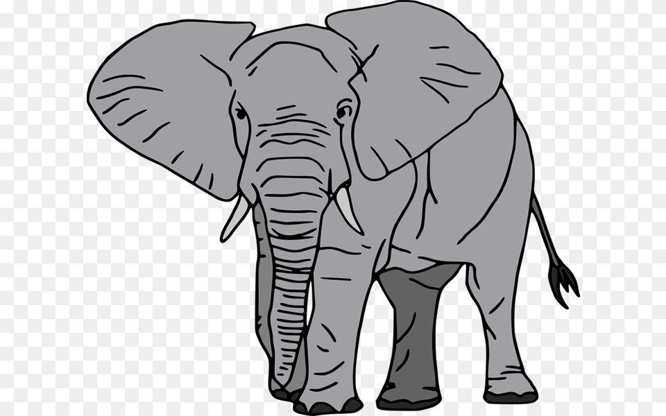 African Forest Elephant Cartoon, Baby, Person, Animal, Wildlife Free Png