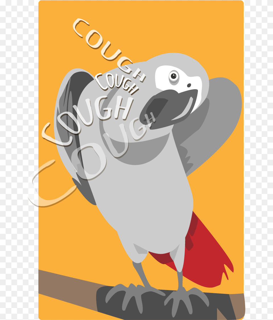 African Grey, Animal, Beak, Bird, Vulture Free Png Download