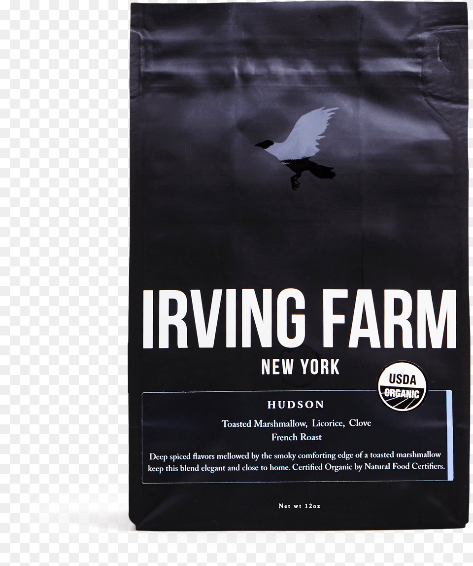 African Grey, Advertisement, Poster, Animal, Bird Free Transparent Png