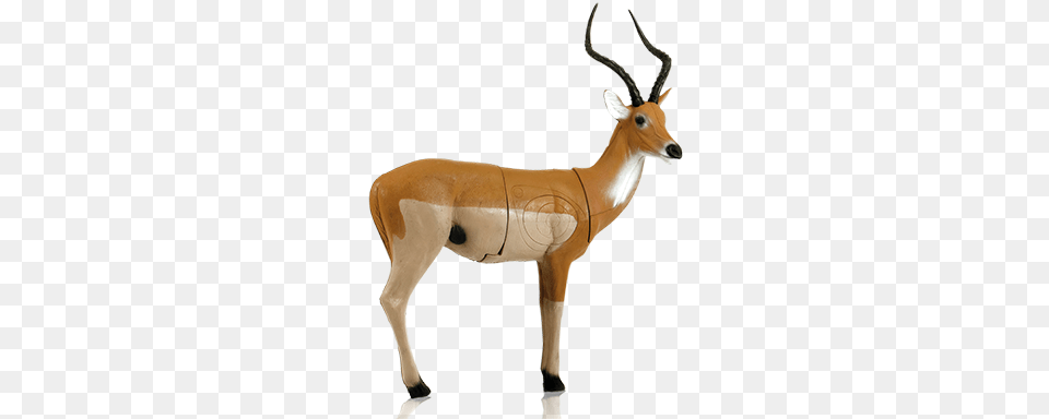 African Impala Pro 3d Target Mckenzie African Impala, Animal, Antelope, Mammal, Wildlife Free Png Download