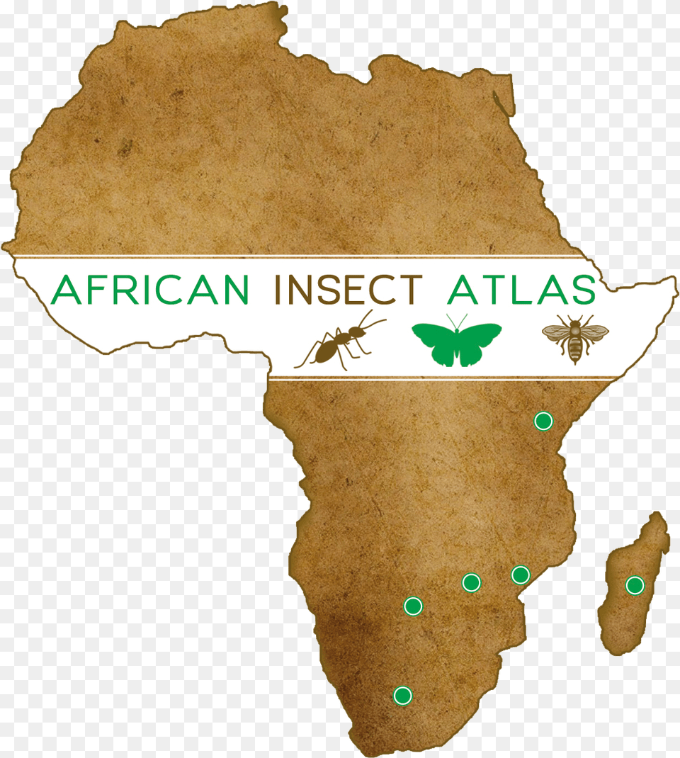 African Insect Atlas Africa On Map Transparent, Chart, Plot, Animal, Invertebrate Png