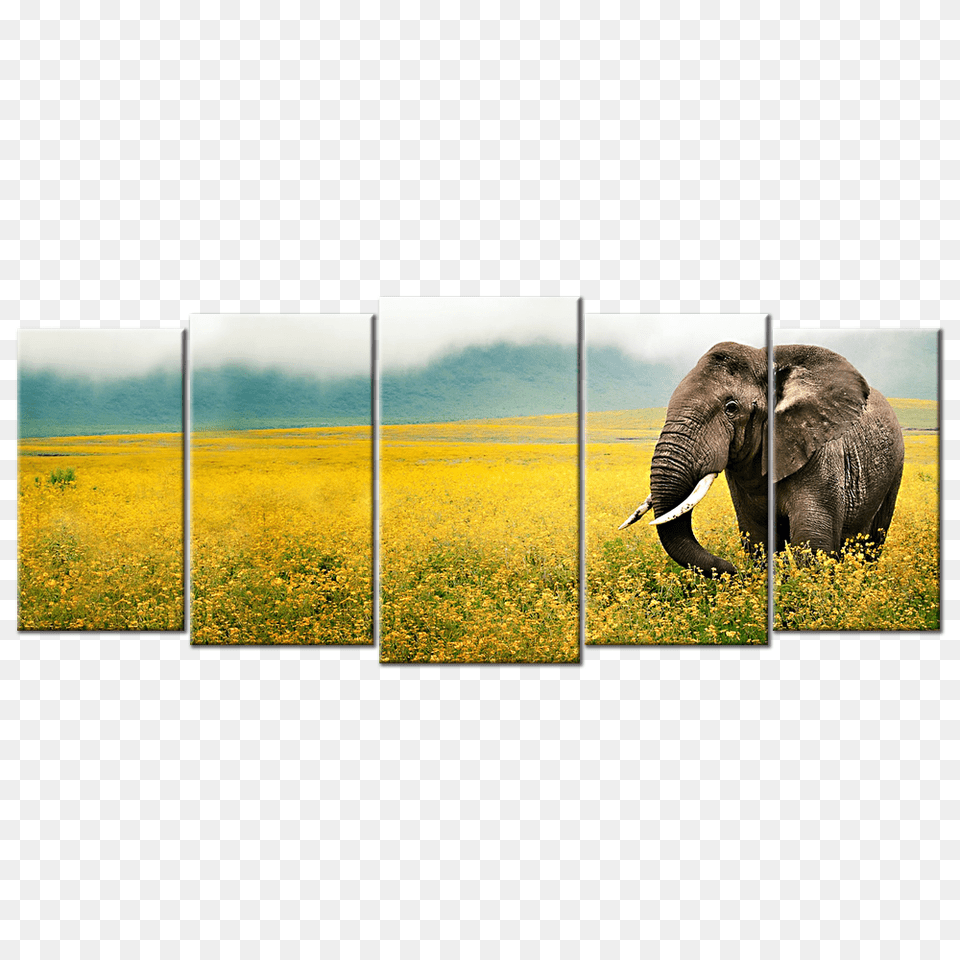 African Landscape Wildlife Canvas Elephant Grass Field Walk Sky, Grassland, Art, Collage, Outdoors Png