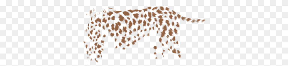 African Leopard, Soil Png Image
