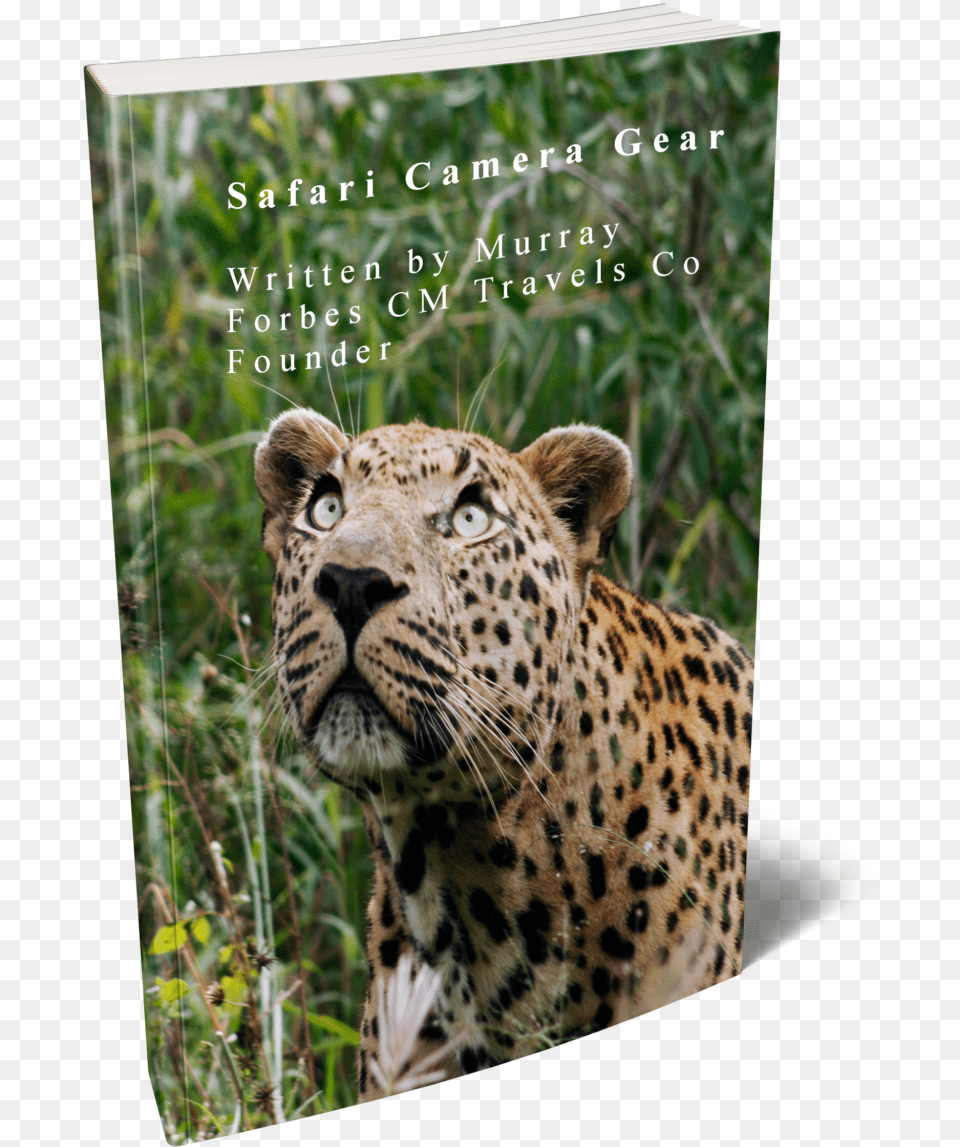 African Leopard, Animal, Mammal, Panther, Wildlife Free Png Download
