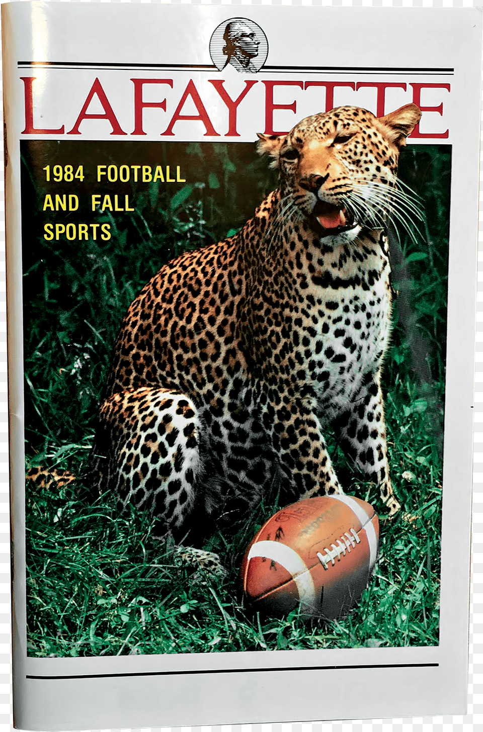 African Leopard, American Football, Sport, Panther, Mammal Png