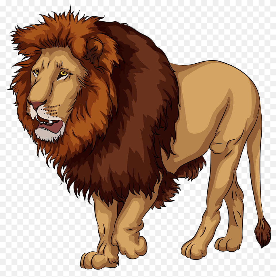 African Lion Clipart, Animal, Mammal, Wildlife Png Image