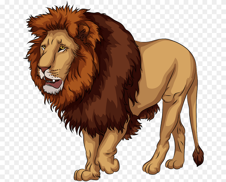 African Lion Clipart Examples Of Carnivores Animals, Animal, Mammal, Wildlife, Face Free Transparent Png