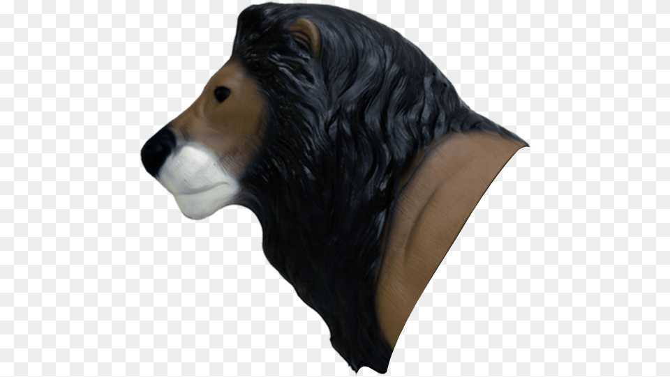 African Lion Head Shooting Target, Animal, Bird, Canine, Mammal Png