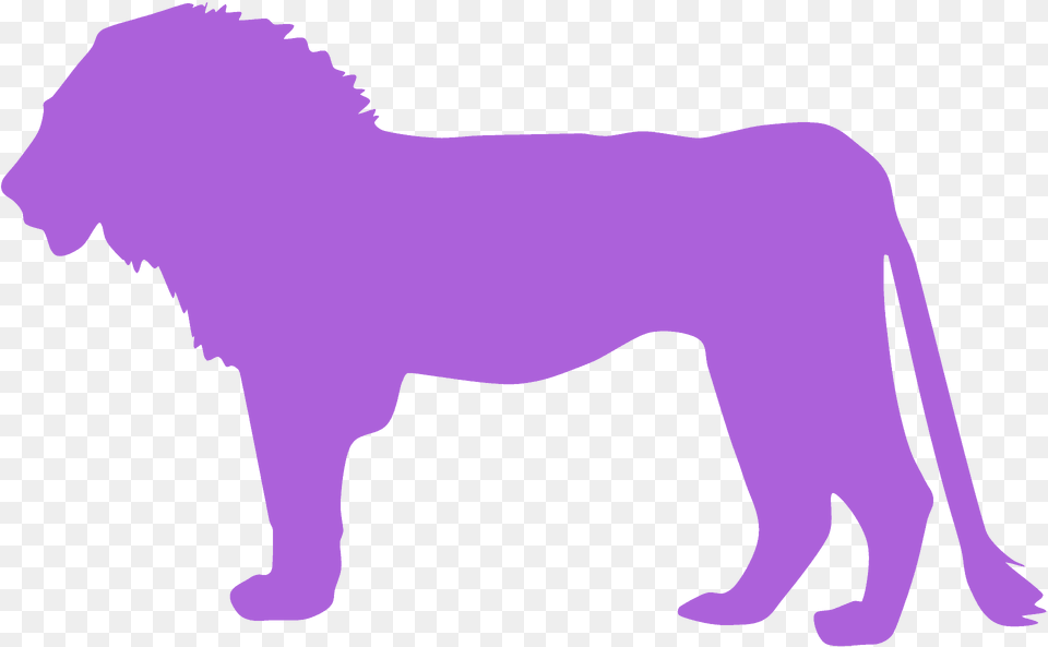 African Lion Silhouette, Animal, Mammal, Wildlife, Person Png