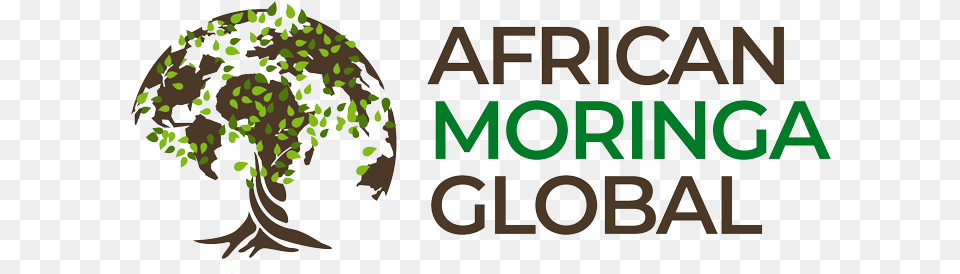 African Moringa Global Tree, Green, Vegetation, Plant, Nature Free Png Download
