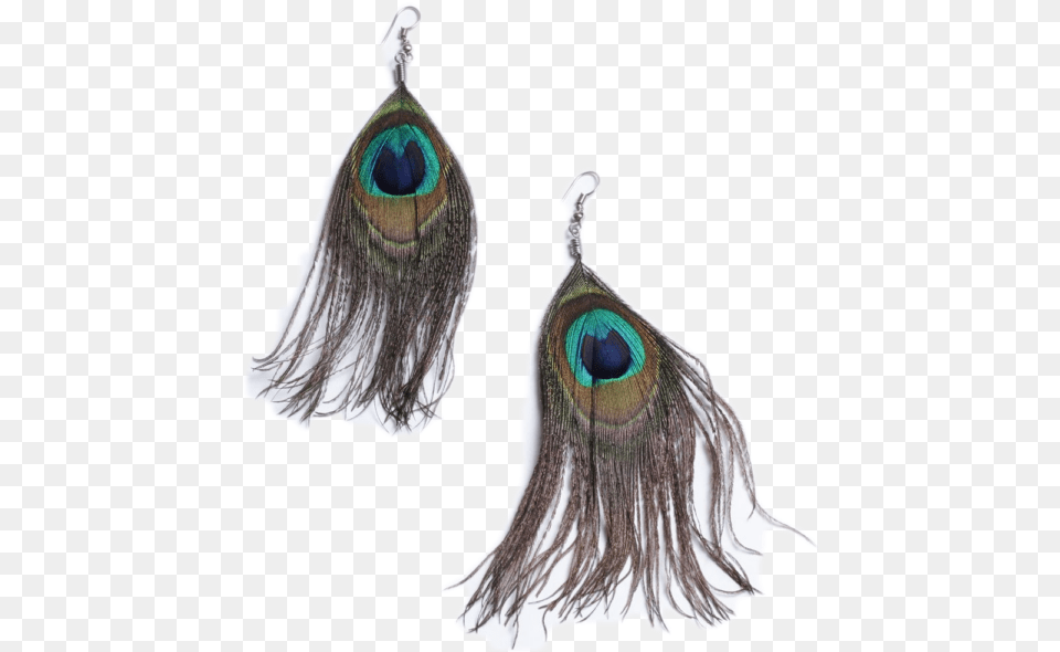 African Peacock Feather Hook Earrings Feather Earring Transparent Background, Accessories, Jewelry, Adult, Female Png Image