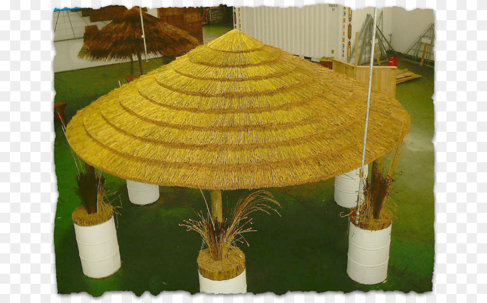 African Reed Thatch Gazebo Roof, Countryside, Nature, Outdoors, Plant Free Png