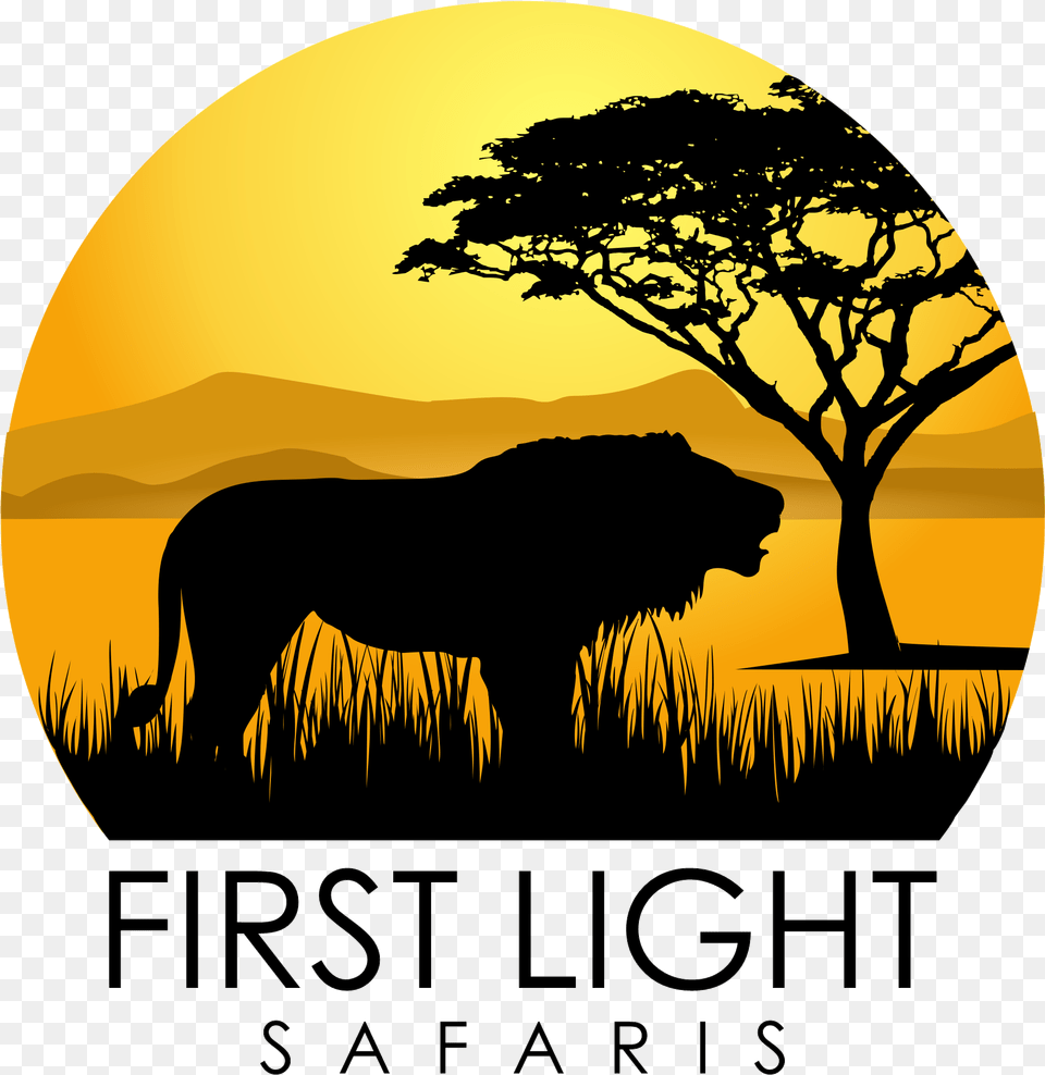 African Safaris First Light African Safari Logo, Outdoors, Field, Grassland, Nature Png