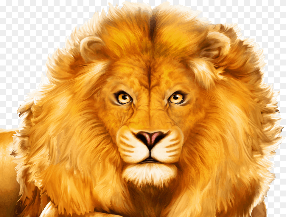 African Stampede Masai Lion, Animal, Mammal, Wildlife, Canine Free Transparent Png