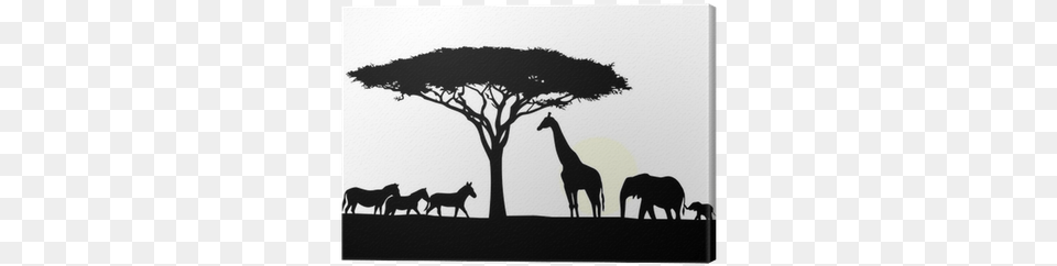 African Tree Silhouette, Field, Outdoors, Grassland, Nature Free Png Download