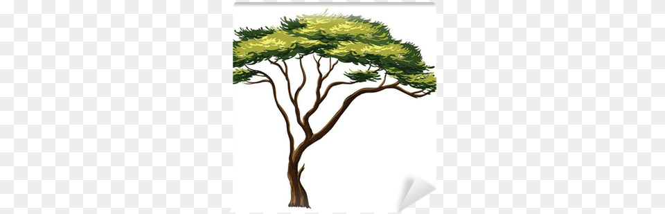 African Tree Wall Mural Pixers We African Animals Clipart, Plant, Art, Painting, Vegetation Free Transparent Png