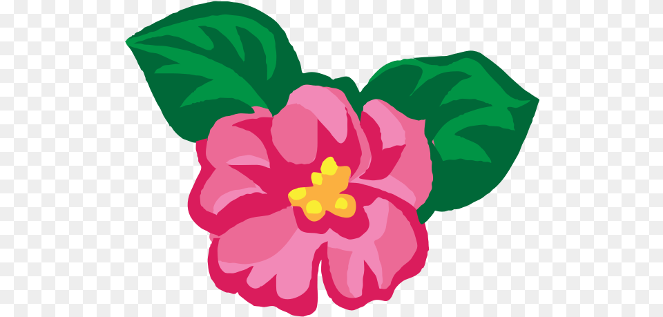African Violet African Violet, Flower, Plant, Hibiscus, Baby Png