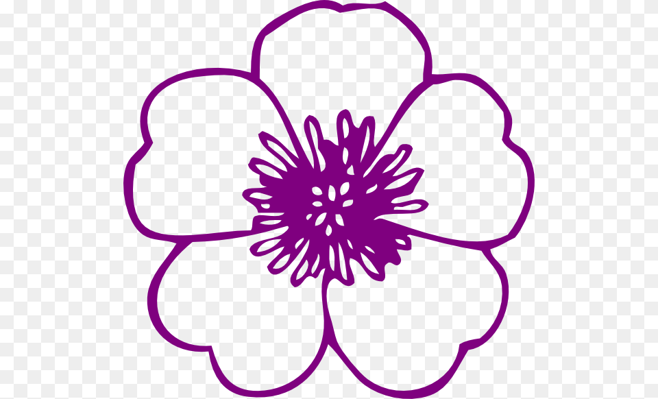 African Violet Clipart, Anemone, Anther, Dahlia, Flower Free Transparent Png