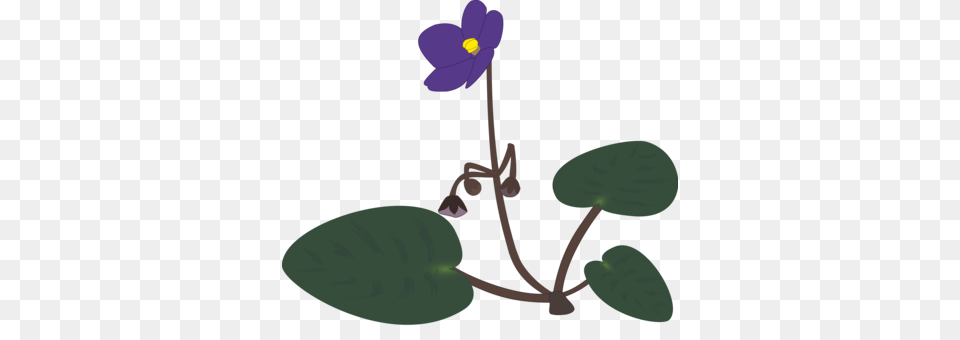 African Violets Plants Pansy Drawing Marsh Blue Violet Free, Anemone, Geranium, Flower, Plant Png Image