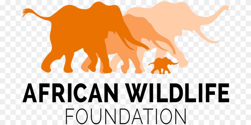 African Wildlife Foundation Logo, Animal, Lion, Mammal, Elephant Png
