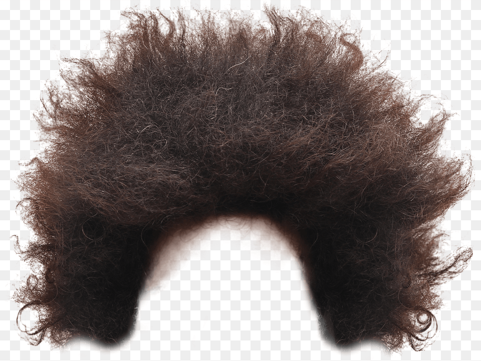Afro Hair Black Dressup Costume Afro Hair Stickers, Adult, Female, Person, Woman Free Png Download