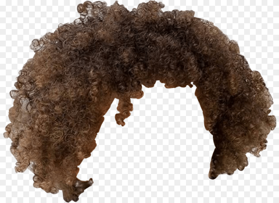 Afro Hair Brown Curls Bob Ross Hair, Animal, Canine, Dog, Mammal Png Image