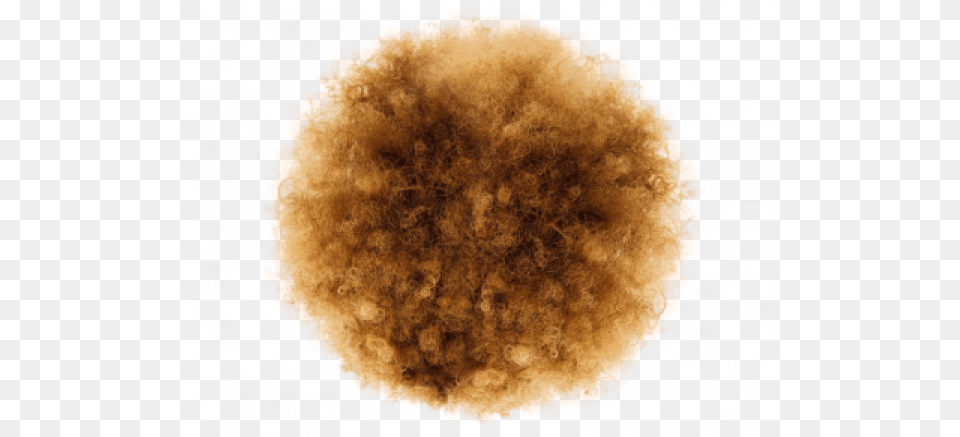 Afro Hair Images U2013 Beyonce Afro, Texture, Nature, Outdoors, Face Free Transparent Png