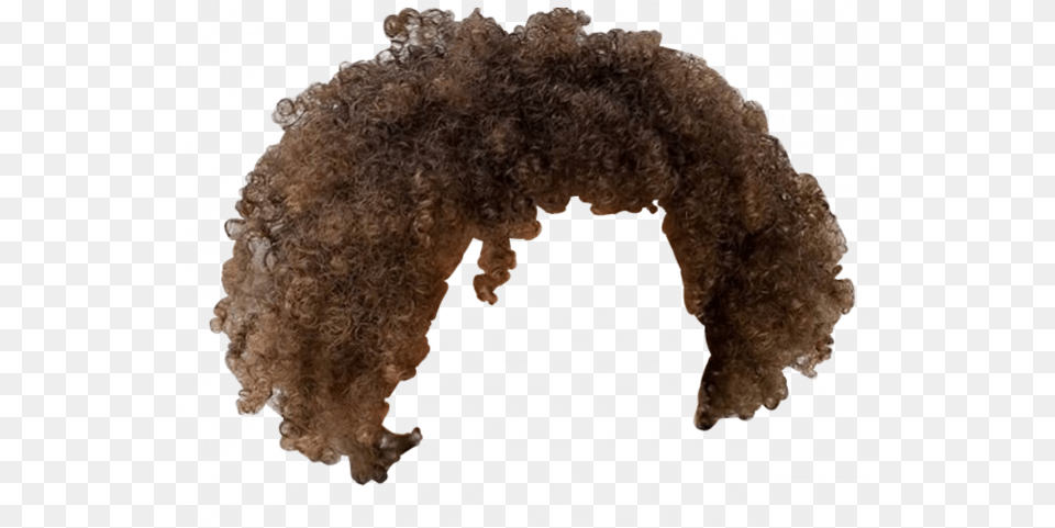 Afro Hair Images 19 1024 X 1280 Afro Hair, Home Decor, Outdoors, Night, Nature Free Transparent Png