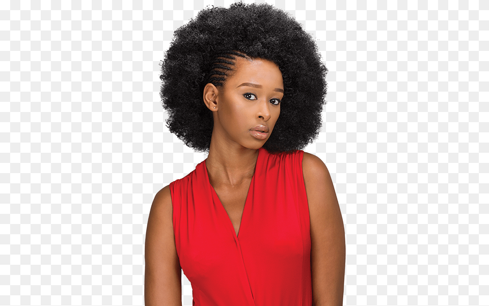 Afro Wig, Head, Black Hair, Face, Portrait Free Png