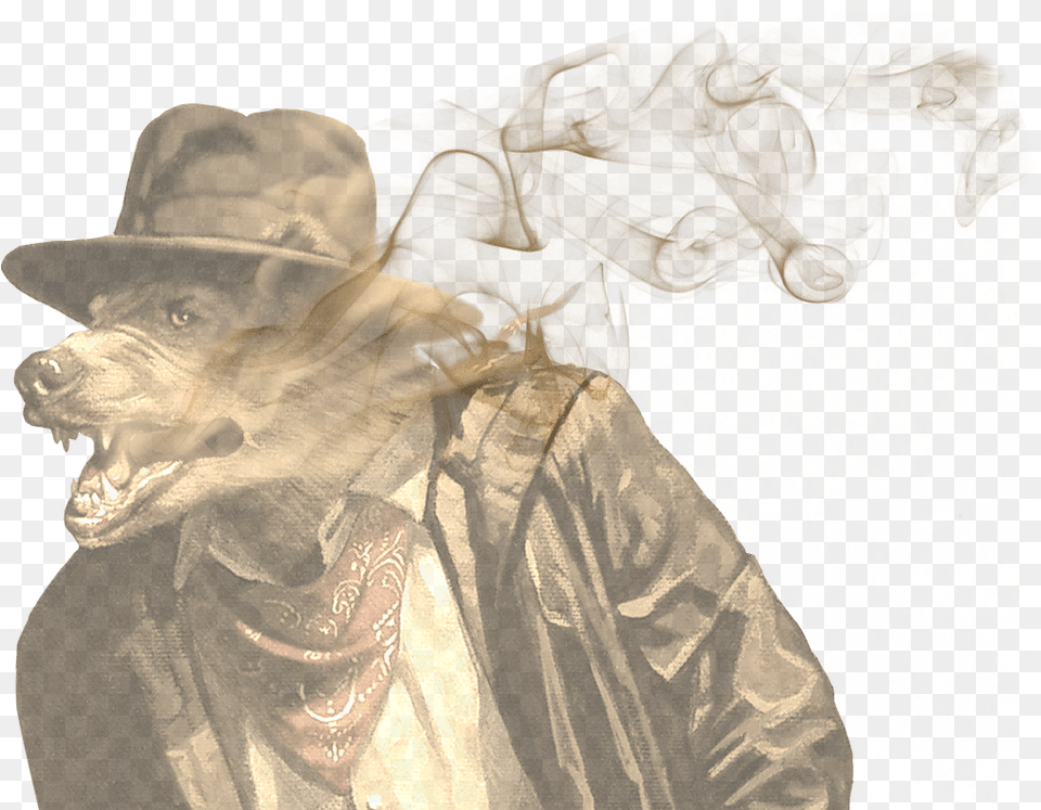 After All Itquots Hard To Explain How He Became Such Colored Smoke, Clothing, Hat, Woman, Adult Png