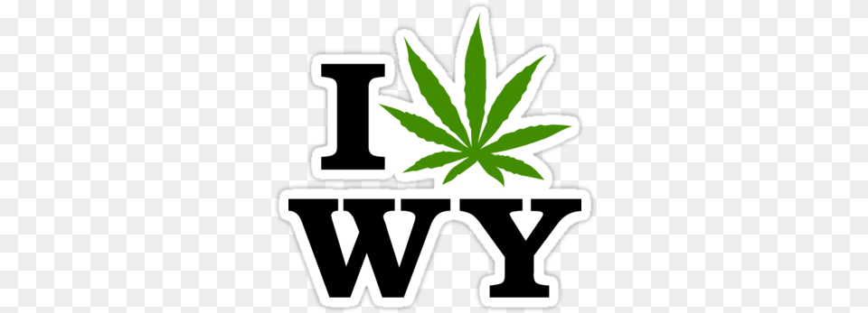 After College I Got A Job In Houston The Quotother Side Washington Weed, Leaf, Plant, Stencil, Hemp Png Image