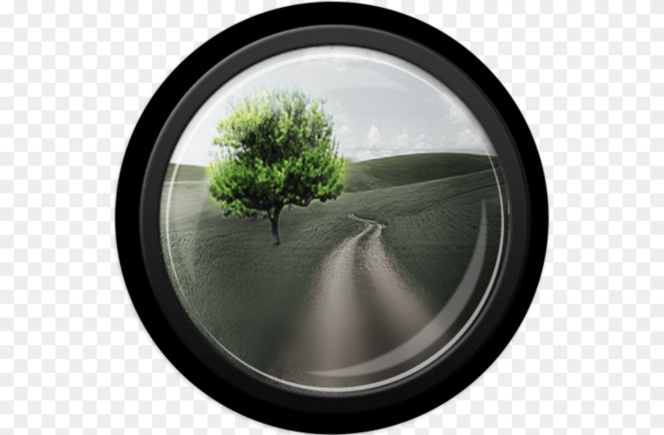 After Focus Bokeh, Photography, Plant, Fisheye, Person Free Png