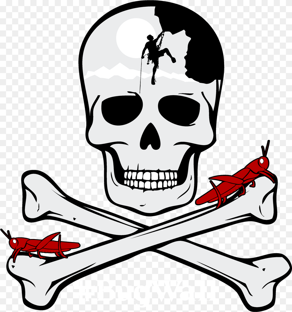 After Living On The Wall For One Week With No Physical Pirate Bones, Adult, Male, Man, Person Free Transparent Png