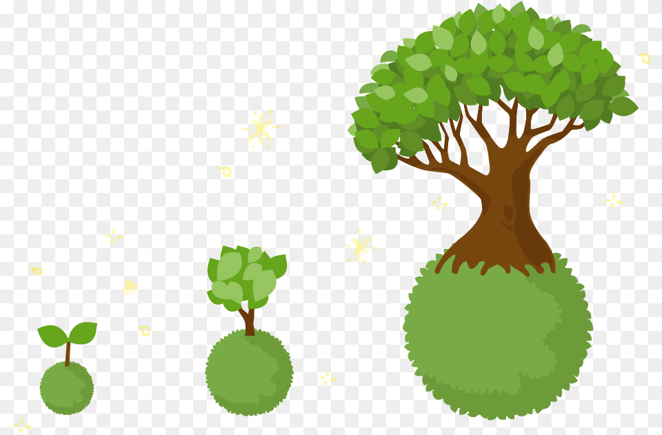 After School Activity, Green, Plant, Tree, Vegetation Free Png