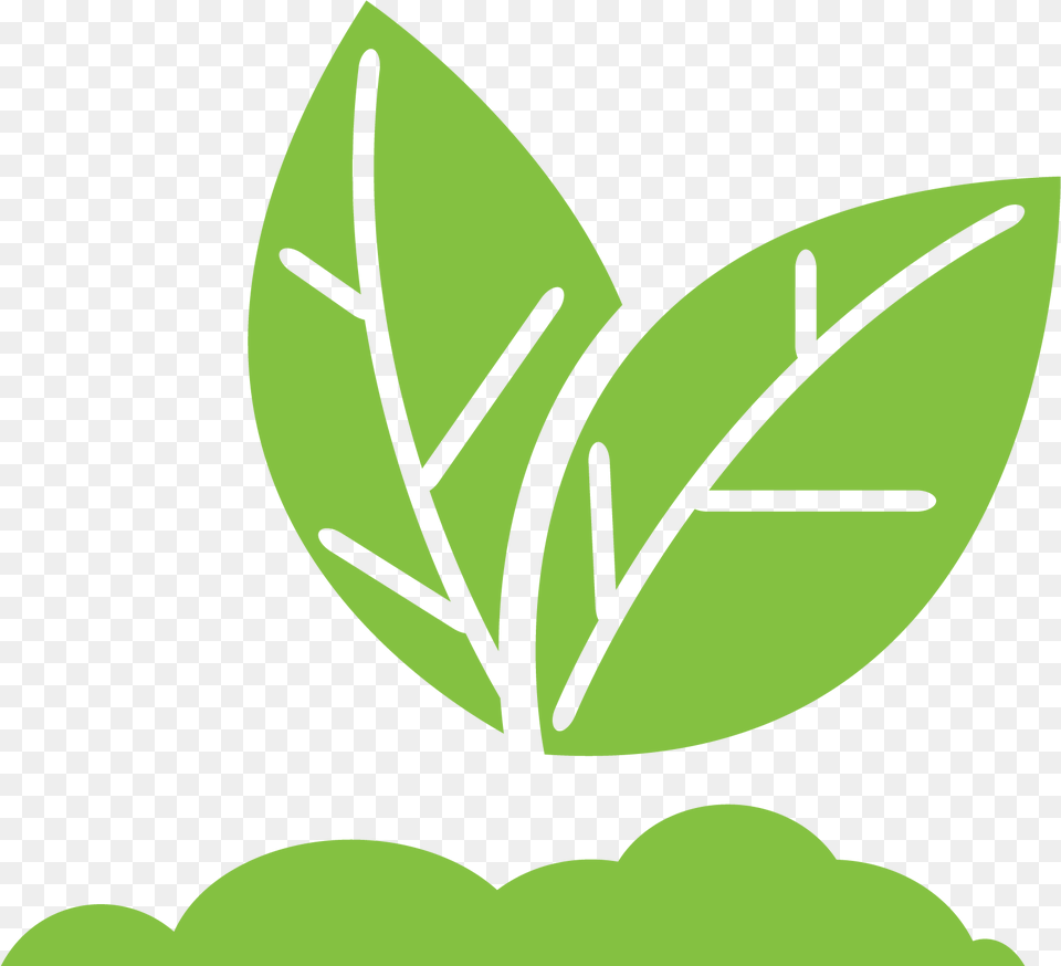 After You Report Your Loss Crop Insurance, Plant, Green, Leaf, Herbal Free Png Download