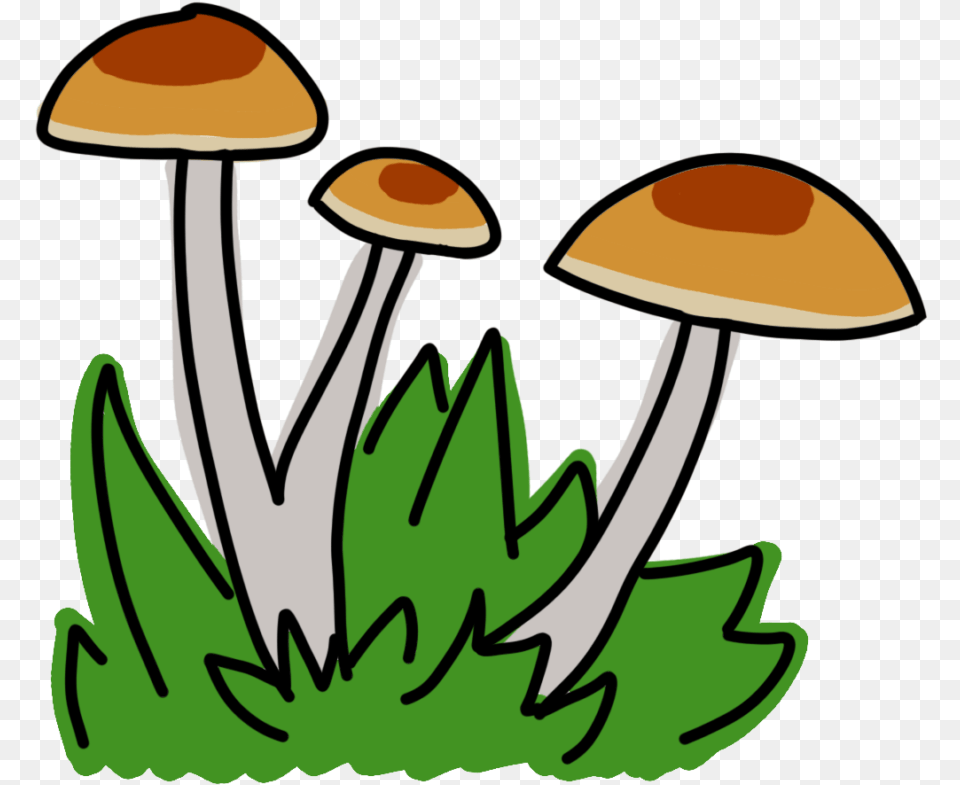 Agaricaceae, Agaric, Fungus, Mushroom, Plant Free Transparent Png