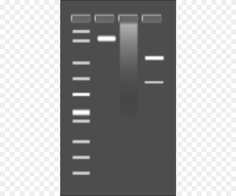 Agarose Gel, Mailbox Free Png Download