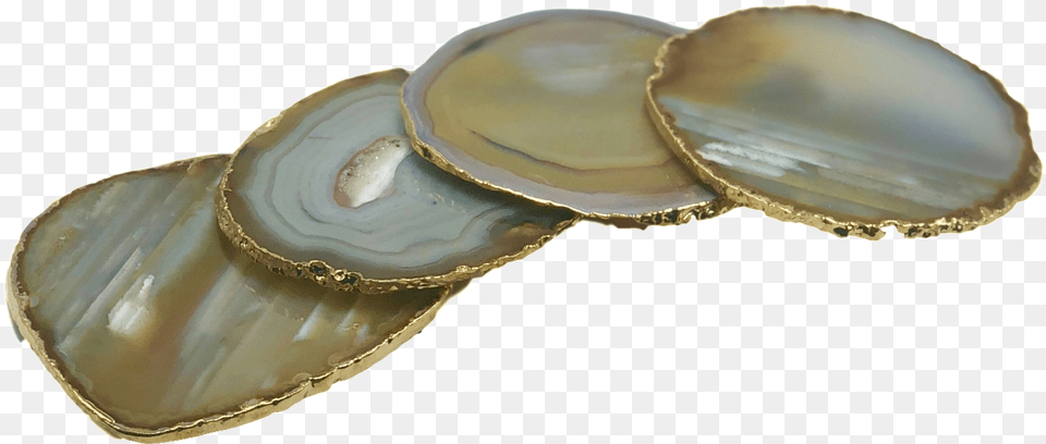 Agate Coasters With Gold Trim Set Of 4 Coin Purse, Accessories, Ornament, Jewelry, Gemstone Png